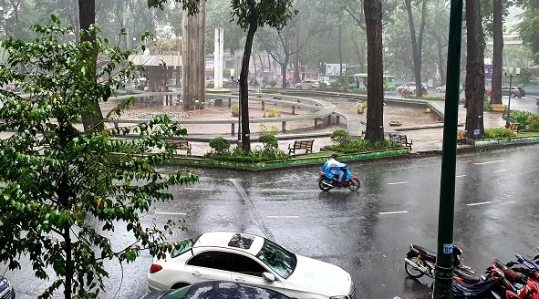 Hà Nội: Mưa to gió lớn, cây đổ hàng loạt, 1 người tử vong 2