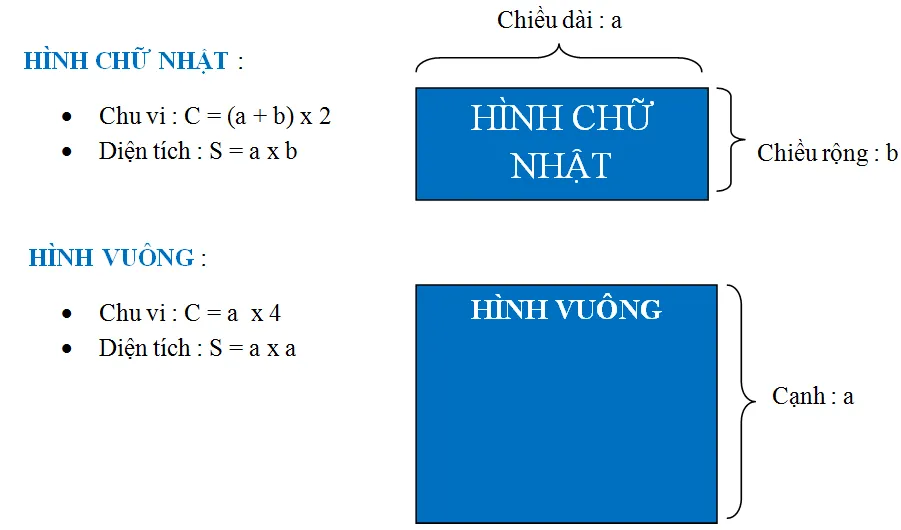 voh.com.vn-cach-tinh-dien-tich-hinh-chu-nhat-anh-2