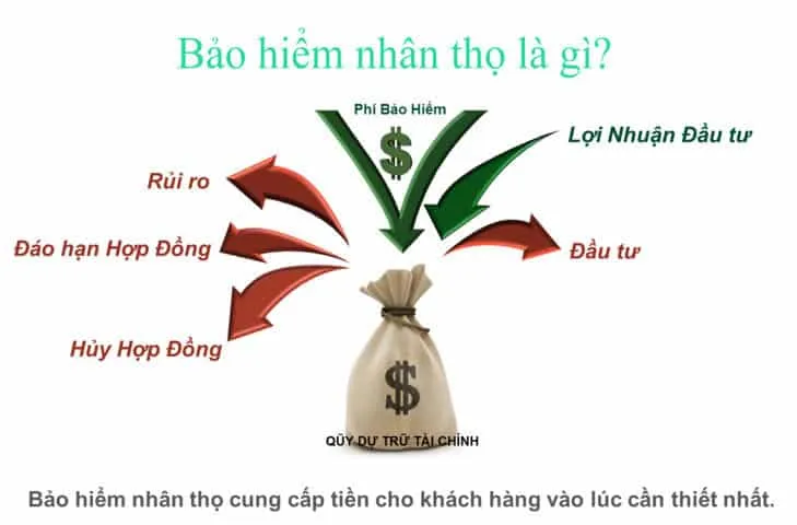 voh.com.vn-bao-hiem-AIA-anh-1