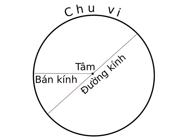 voh.com.vn-chu-vi-hinh-tron-2