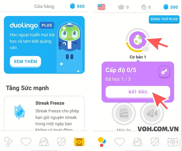 voh.com.vn-cai-dat-va-dang-ki-Duolingo-12