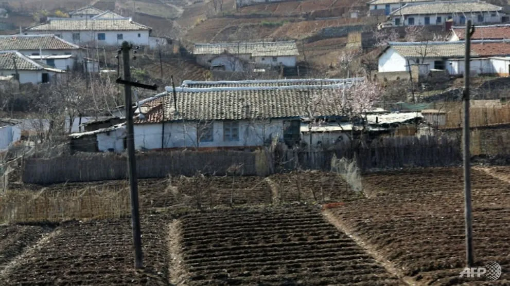 Triều Tiên: Mùa màng thất bát liên tục trong 5 năm, nguy cơ thiếu lương thực trầm trọng