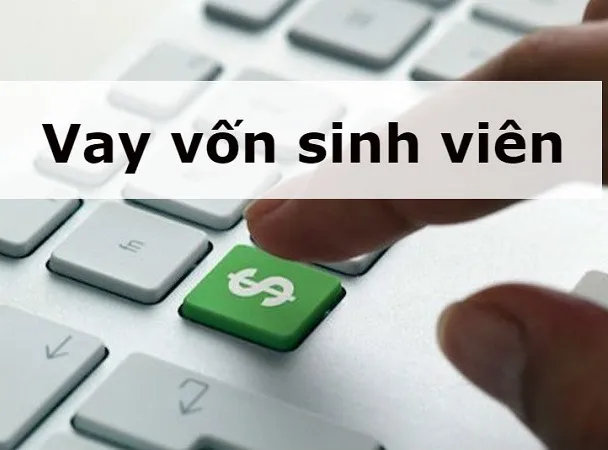 voh.com.vn-vay-von-sinh-vien-1