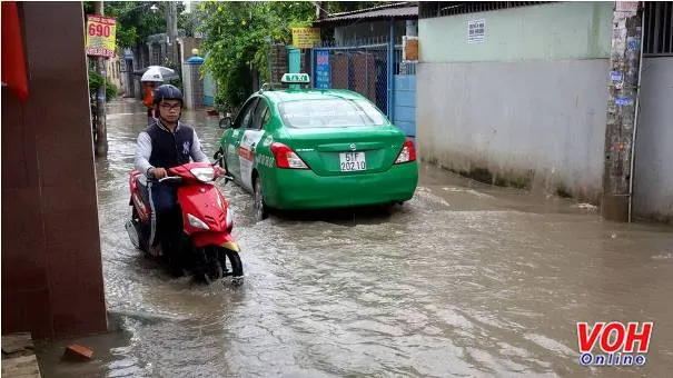 triều cường