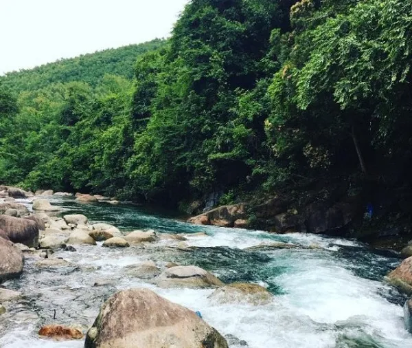 voh.com.vn-suoi-voi-2