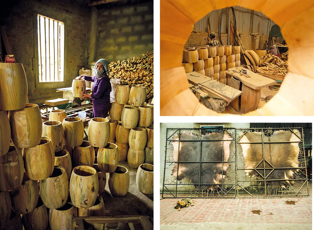 voh.com.vn-lang-trong-doi-tam-5