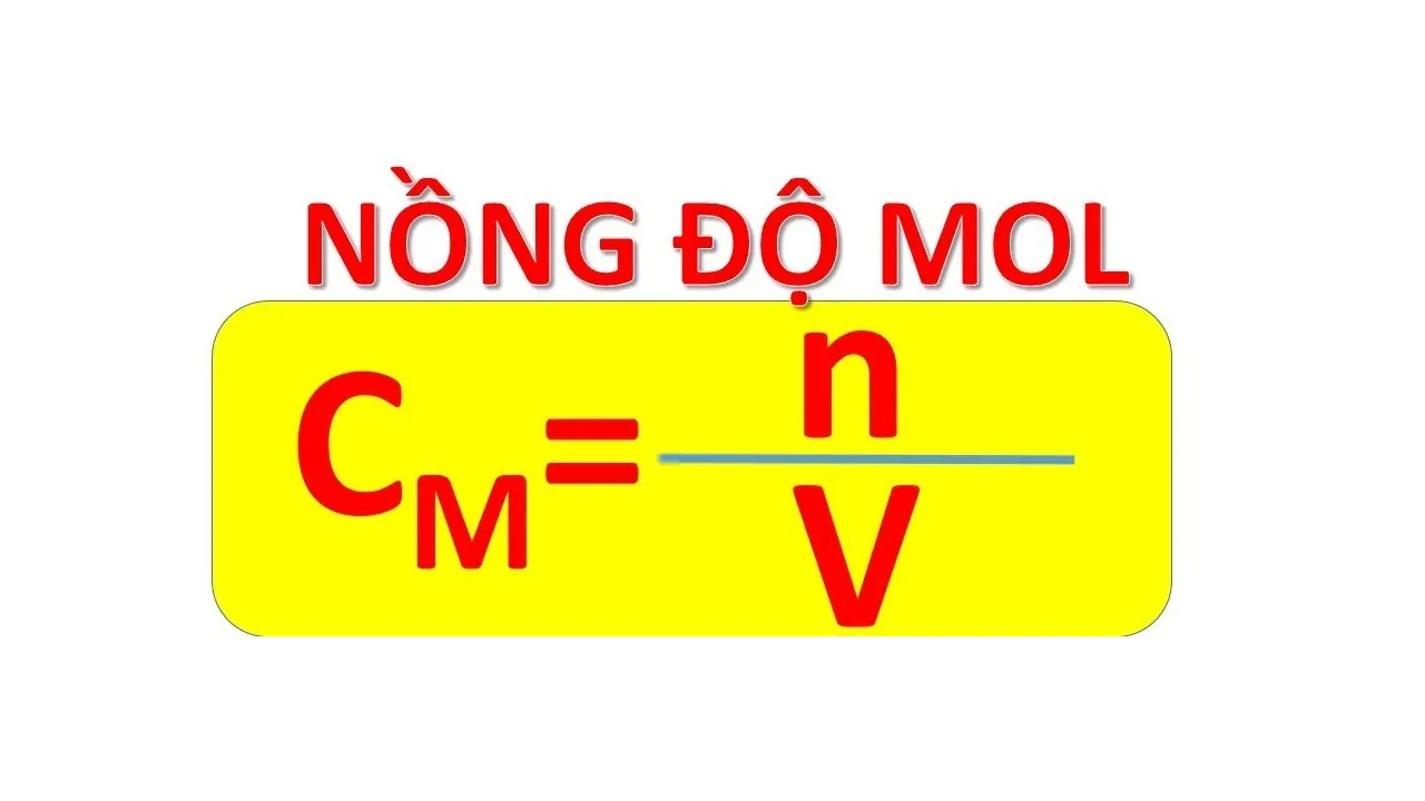 voh.com.vn-nong-do-mol-2