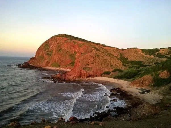 voh.com.vn-mui-yen-1