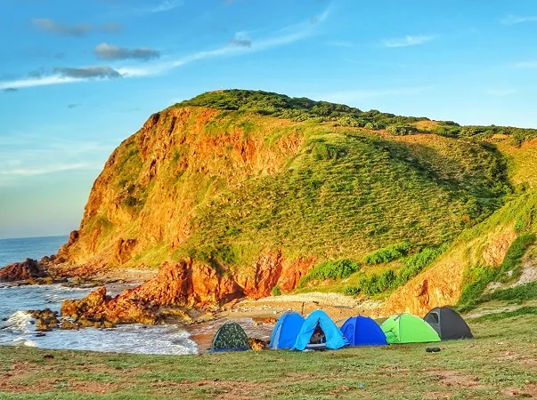 voh.com.vn-mui-yen-3