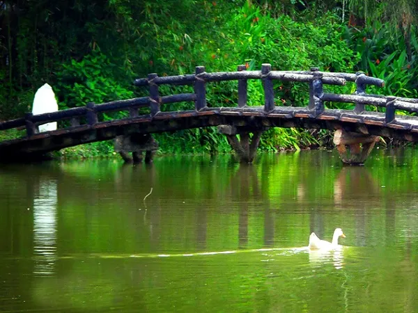 voh.com.vn-chua-huyen-khong-son-thuong-3