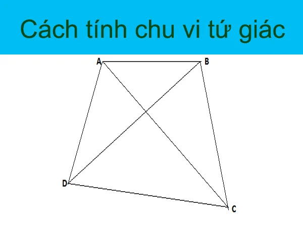 voh.com.vn-chu-vi-tu-giac