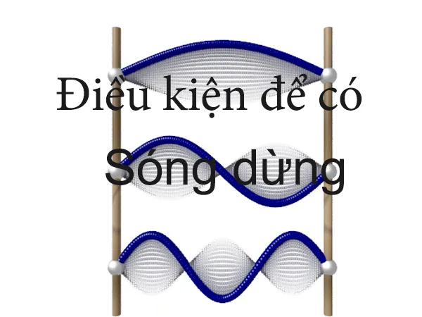 voh.com.vn-song-dung-1