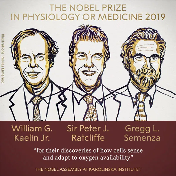 Giải Nobel Y học năm 2019 vinh danh 3 nhà khoa học nghiên cứu về tế bào