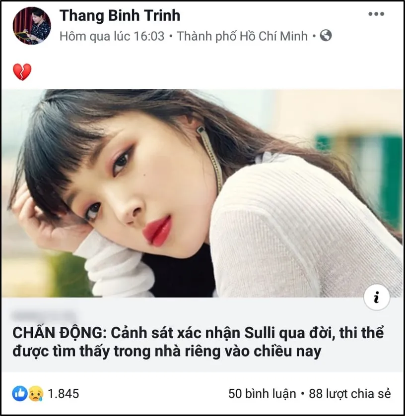 voh-sao-viet-tiec-thuong-cho-sulli-voh.com.vn-anh12