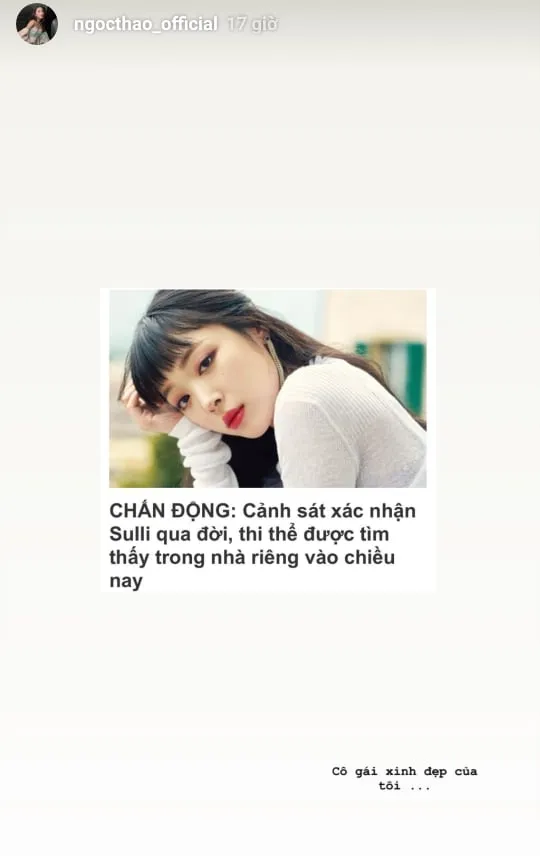 voh-sao-viet-tiec-thuong-cho-sulli-voh.com.vn-anh11