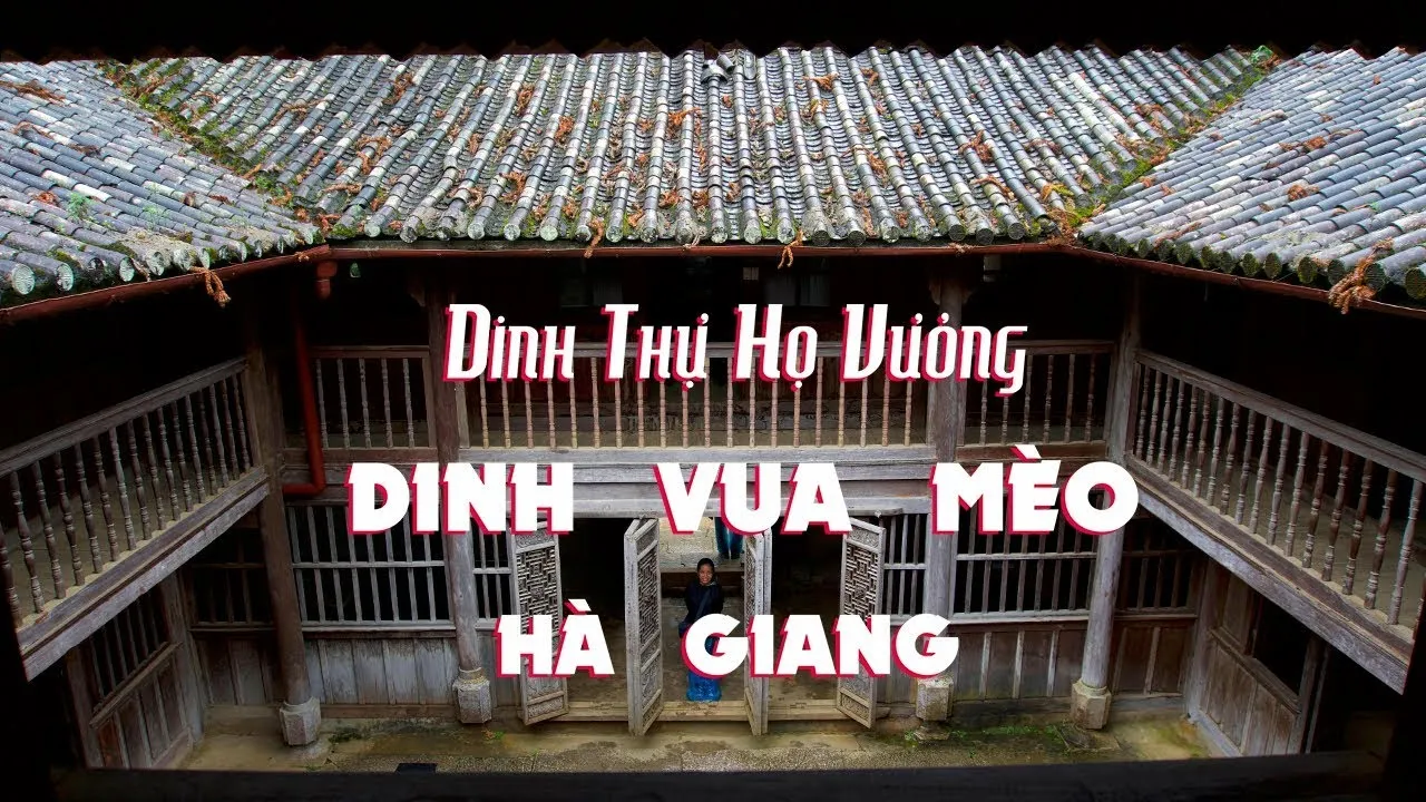 voh.com.vn-dinh-thu-vua-meo-anh-0