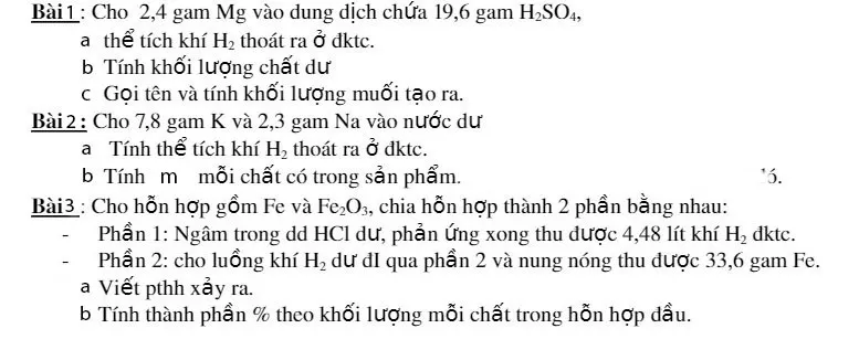 bai-tao-ve-muoi-voh.com.vn