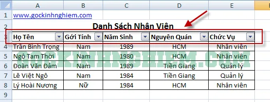 voh.com.vn.cach-dung-ham-filter-trong-excel-anh-1