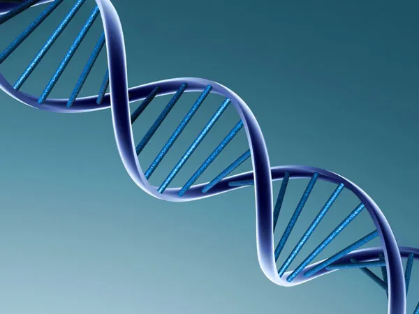 xet-nghiem-karyotype-la-gi-khi-nao-can-thuc-hien-voh