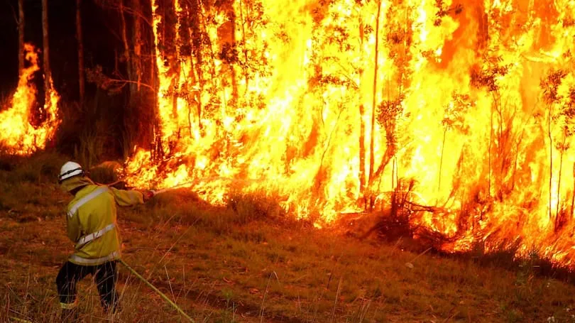 cháy rừng Australia