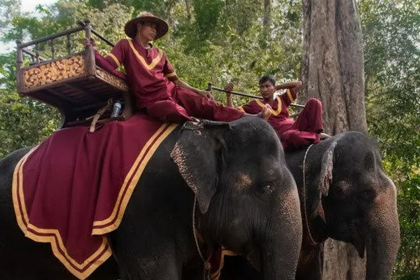 Đến năm 2020, Campuchia sẽ chấm dứt hoàn toàn việc kinh doanh voi cho du lịch.