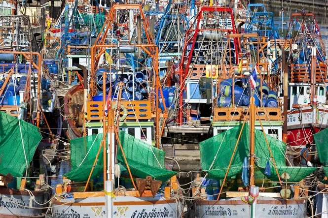 Thái Lan: Hàng ngàn ngư dân biểu tình phản đối việc siết chặt quy định đánh bắt cá