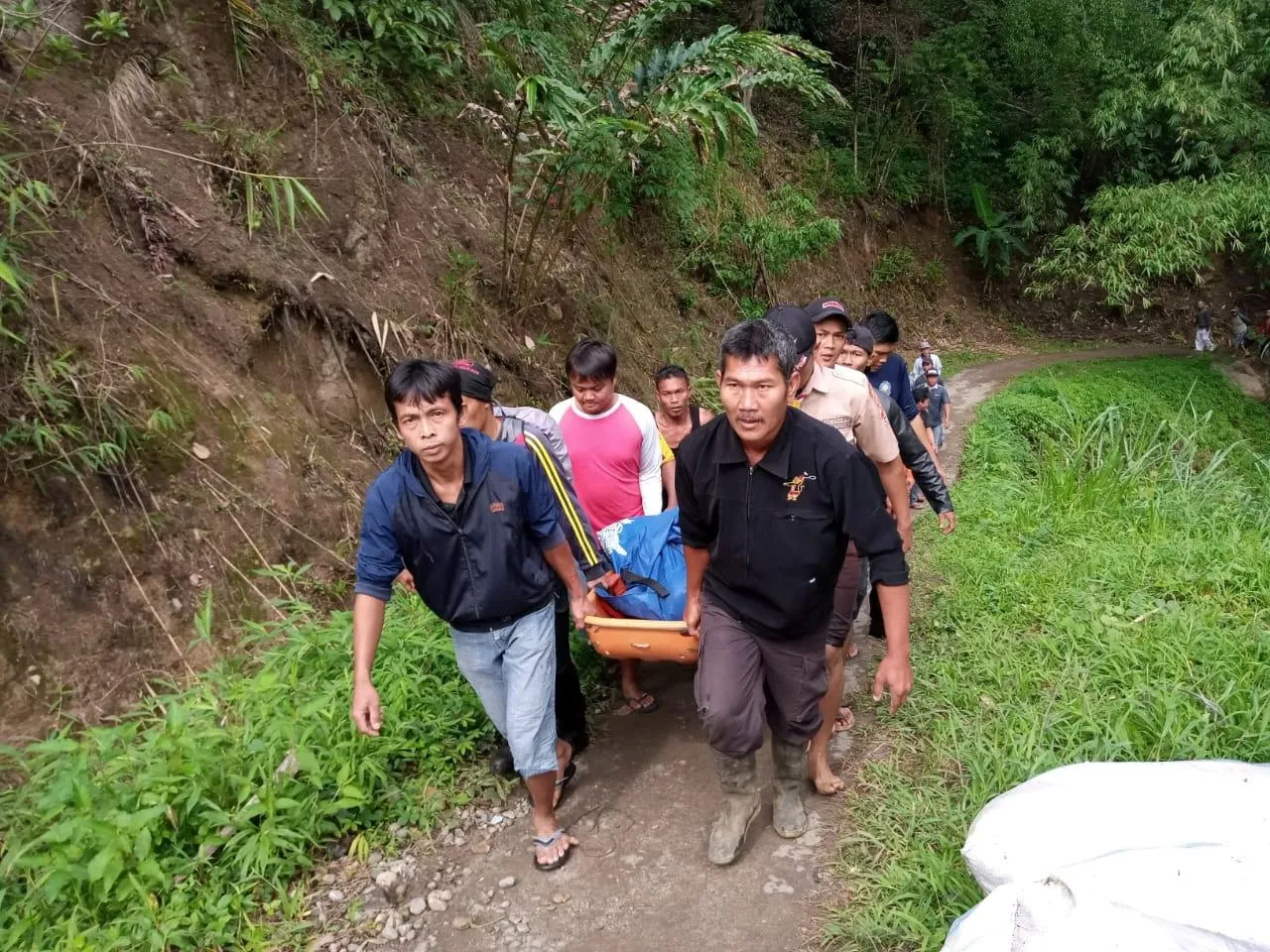 Indonesia: Xe buýt rơi xuống vực, hàng chục người thương vong