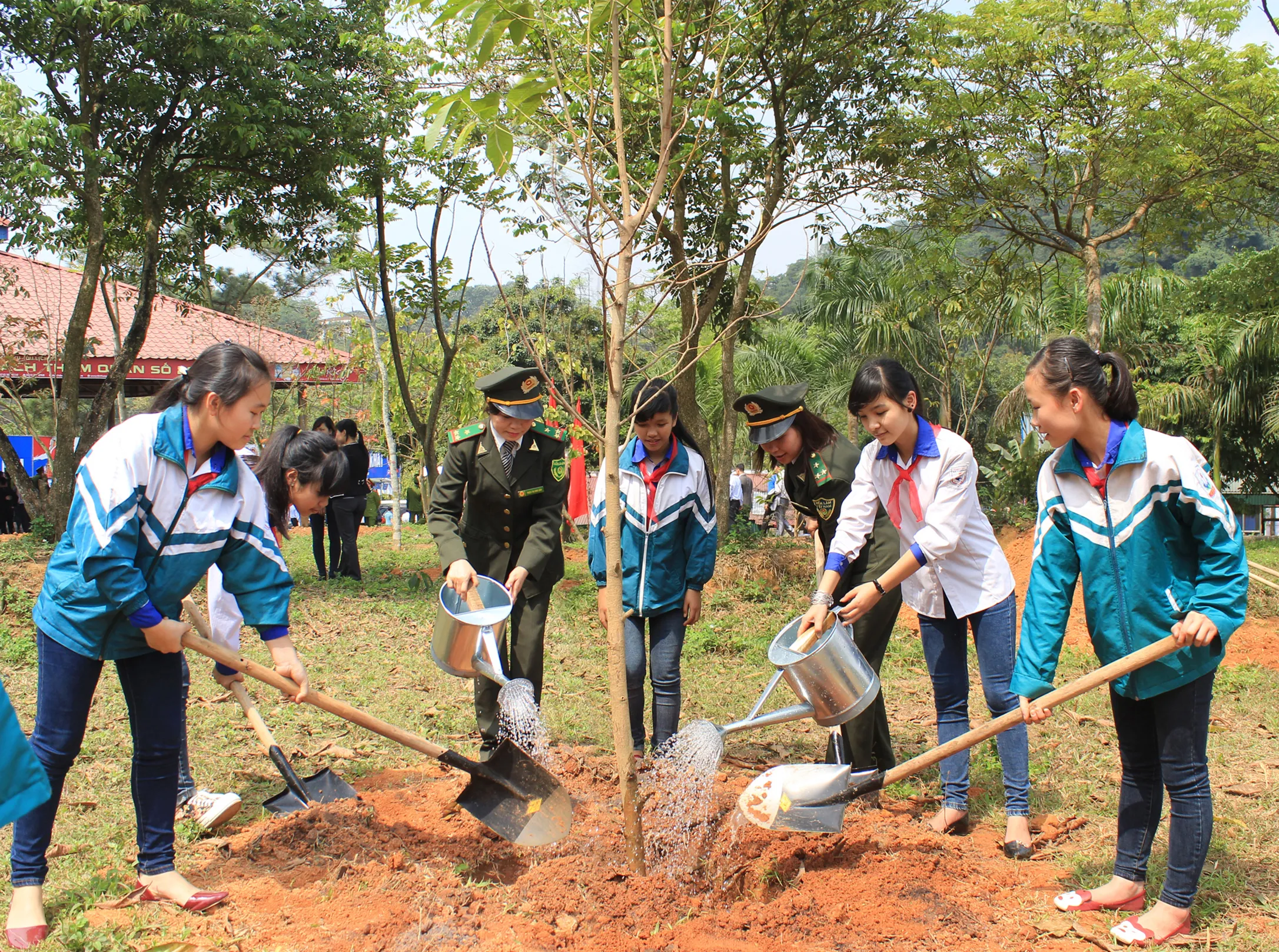 trồng cây