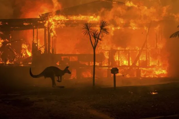 Australia: Chi tiền điều trị chấn thương tinh thần do cháy rừng gây ra