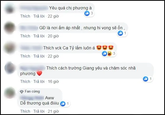 voh-nha-phuong-dong-vien-truong-giang-voh.com.vn-anh6