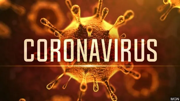 WHO thống nhất gọi virus corona chủng mới là Covid-19
