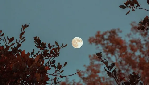 Siêu trăng sẽ xuất hiện vào ngày nào trong tháng 3/2020? 1