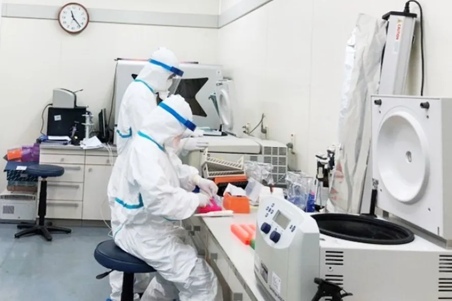 Covid-19, virus corona