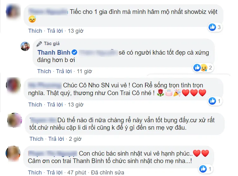 VOH-thanh-binh-me-vo-anh3