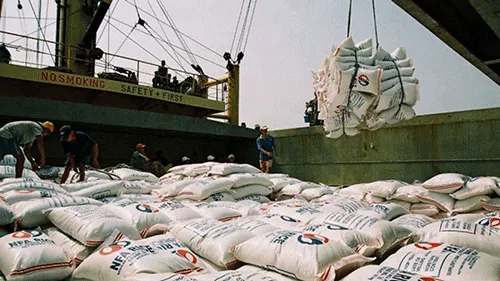 Không yêu cầu phải dỡ hàng ra khỏi container để kiểm tra gạo xuất khẩu