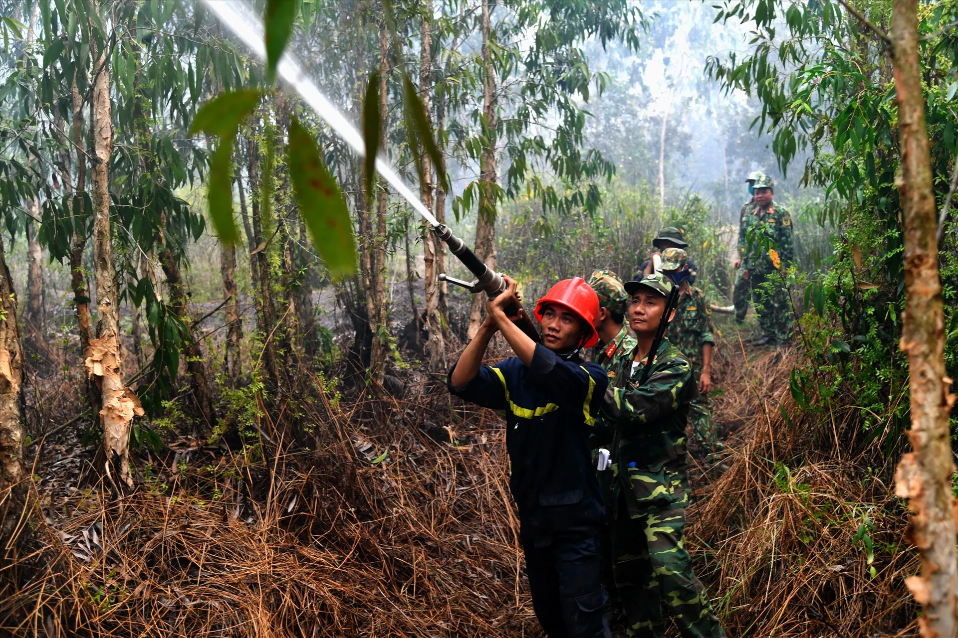 cháy rừng tràm ở Hòn Đất, Kiên Giang