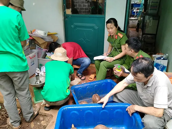 101 con rùa bị tịch thu tại Đắk Lắk trong tháng 5/2020