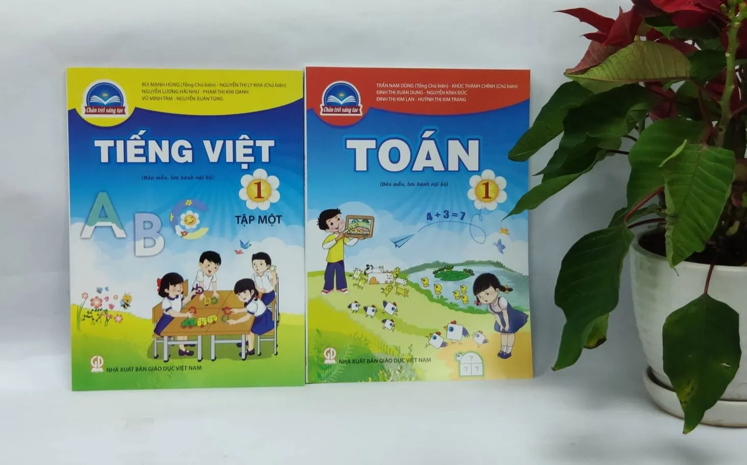 Nhà Xuất bản Giáo dục Việt Nam, sách giáo khoa