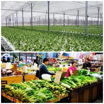 sản xuất và tiêu dùng