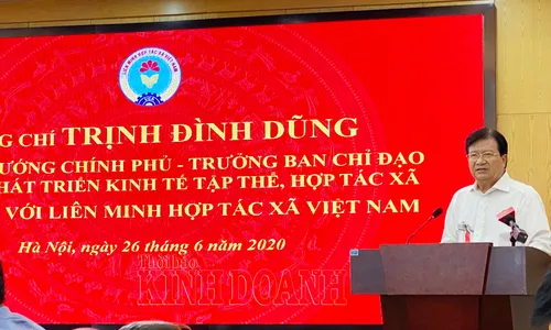 Phó Thủ tướng Trịnh Đình Dũng, Trưởng Ban Chỉ đạo đổi mới và phát triển kinh tế tập thể, hợp tác xã làm việc với Liên minh Hợp tác xã