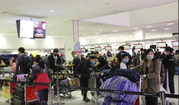 Công dân Việt Nam xếp hàng làm thủ tục lên máy bay tại sân bay quốc tế Sydney để khởi hành về nước, ngày 3-7-2020.