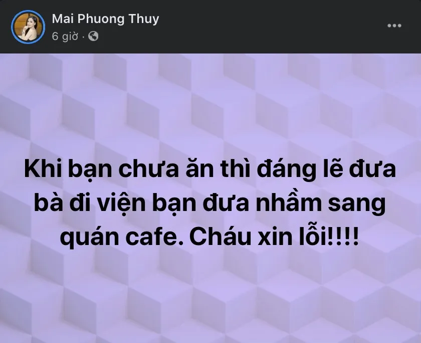 voh-mai-phuong-thuy-ngoc-lan-ke-ve-nhung-su-co-do-khoc-do-cuoi-voh.com.vn-anh4