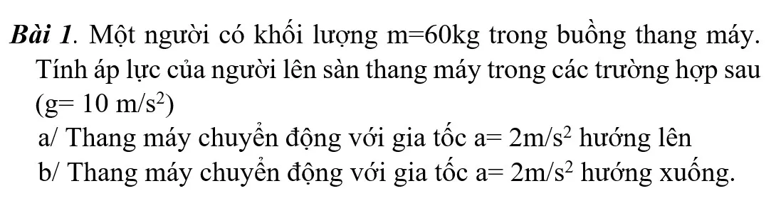 voh.com.vn-trong-luc-trong-luong-14