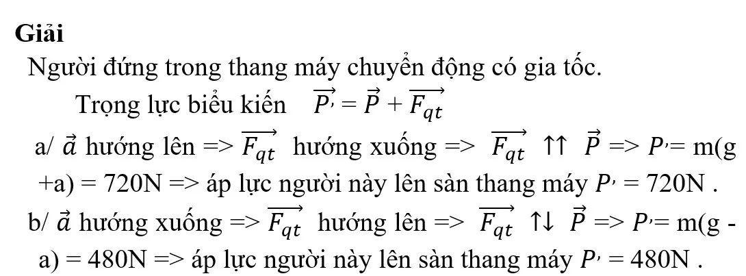 voh.com.vn-trong-luc-trong-luong-15