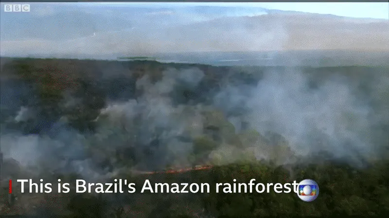 Rừng Amazon lại đang cháy, Tổng thống Brazil cho là bịa đặt