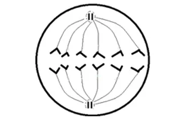 voh.com.vn-nhiem-sac-the-18