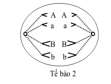 voh.com.vn-nhiem-sac-the-20