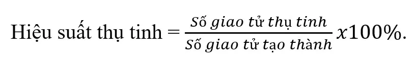 voh.com.vn-nhiem-sac-the-17