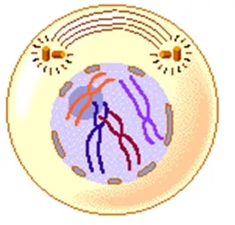 voh.com.vn-nhiem-sac-the-4