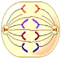 voh.com.vn-nhiem-sac-the-6